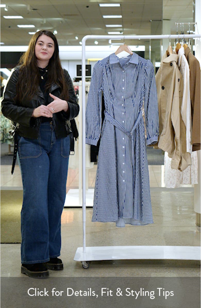 Stripe Long Sleeve Midi Shirtdress, sales video thumbnail