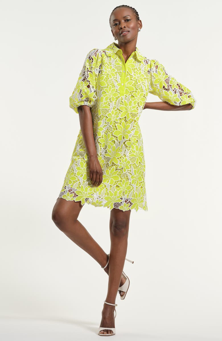 Isaac Mizrahi New York Floral Lace Eyelet Swing Shirtdress, Alternate, color, Lime