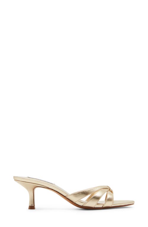 Steve Madden Cary Flip Flop In Gold Leather