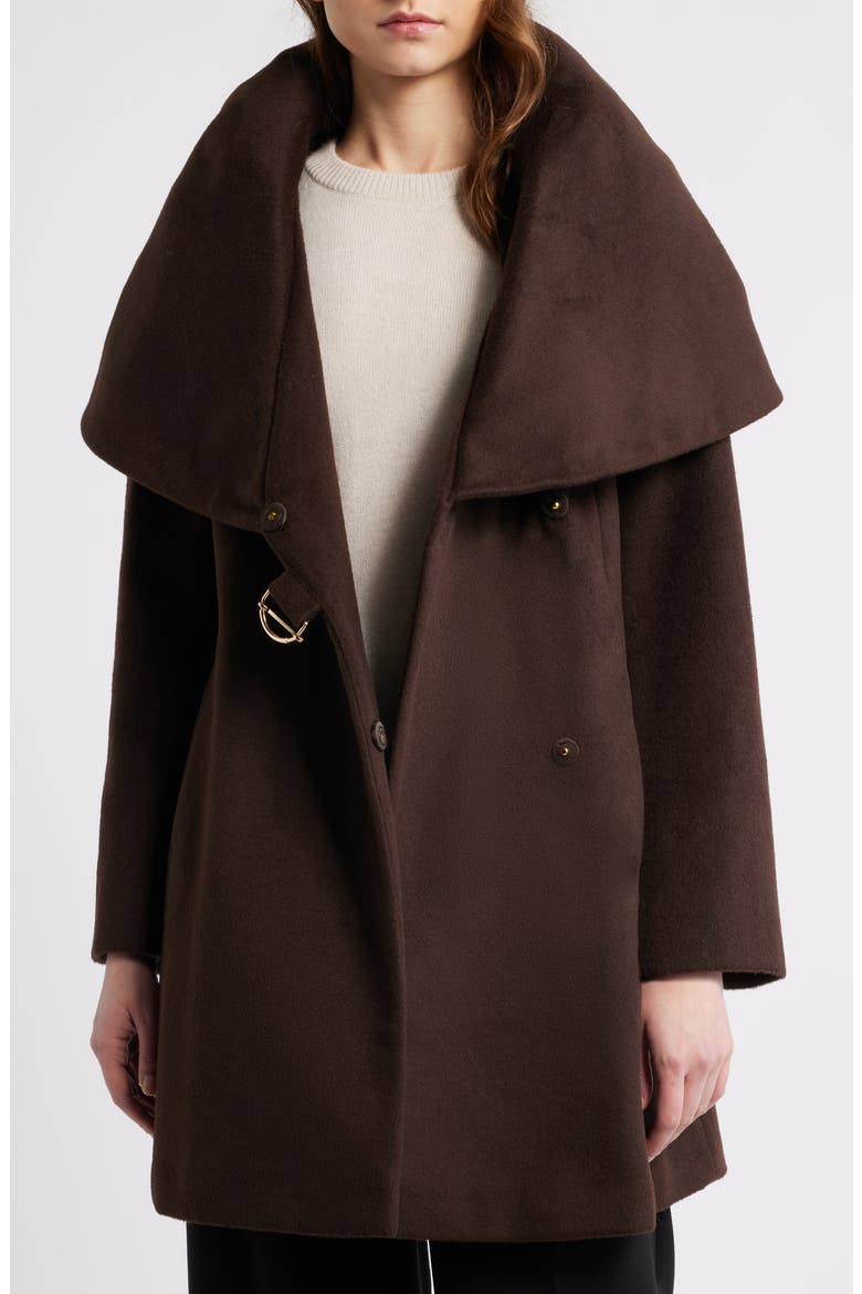 Hooded Wool Blend Belted Coat, Alternate, color, CHOCOLATE