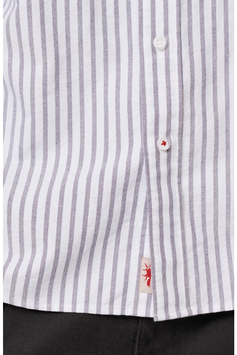 Aldridge Oxford Button Down Shirt, Alternate, color, Purple Stripe
