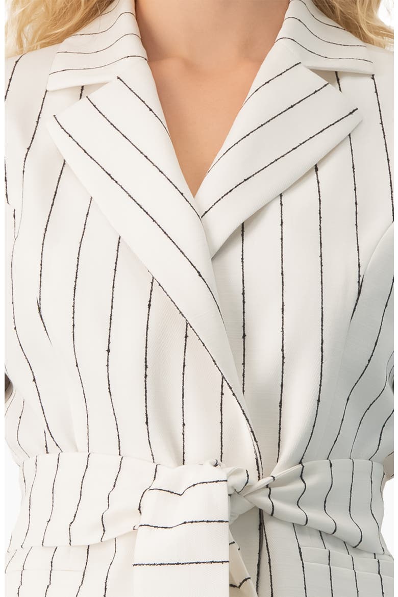 Pinstripe Self-Tie Belted Wrap Tailored Blazer, Alternate, color, White