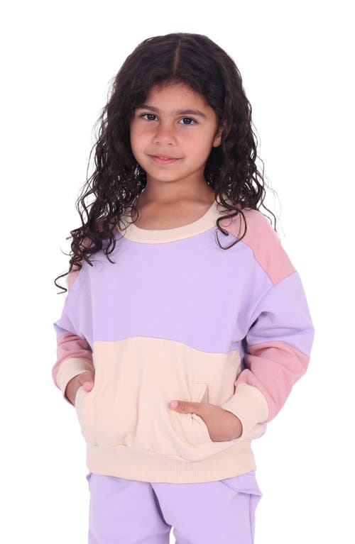 Tiny Tribe Kids' Segment Sweatshirt In Purple Multi