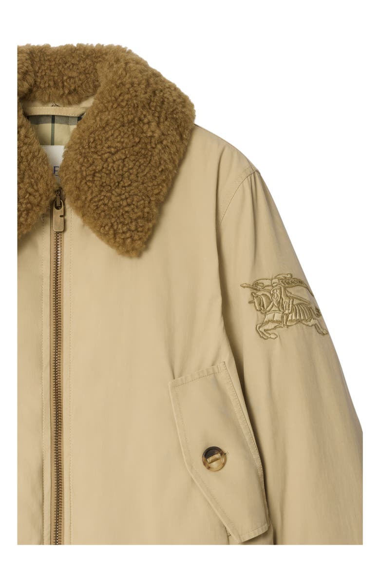 Shearling Collar Gabardine Jacket, Alternate, color, Dune beige