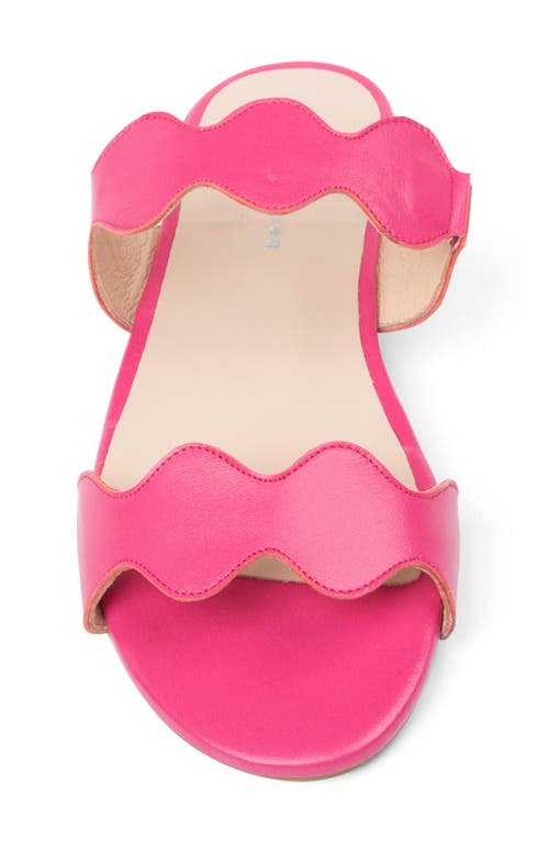 Patricia Green Palm Beach Sandal In Hot Pink