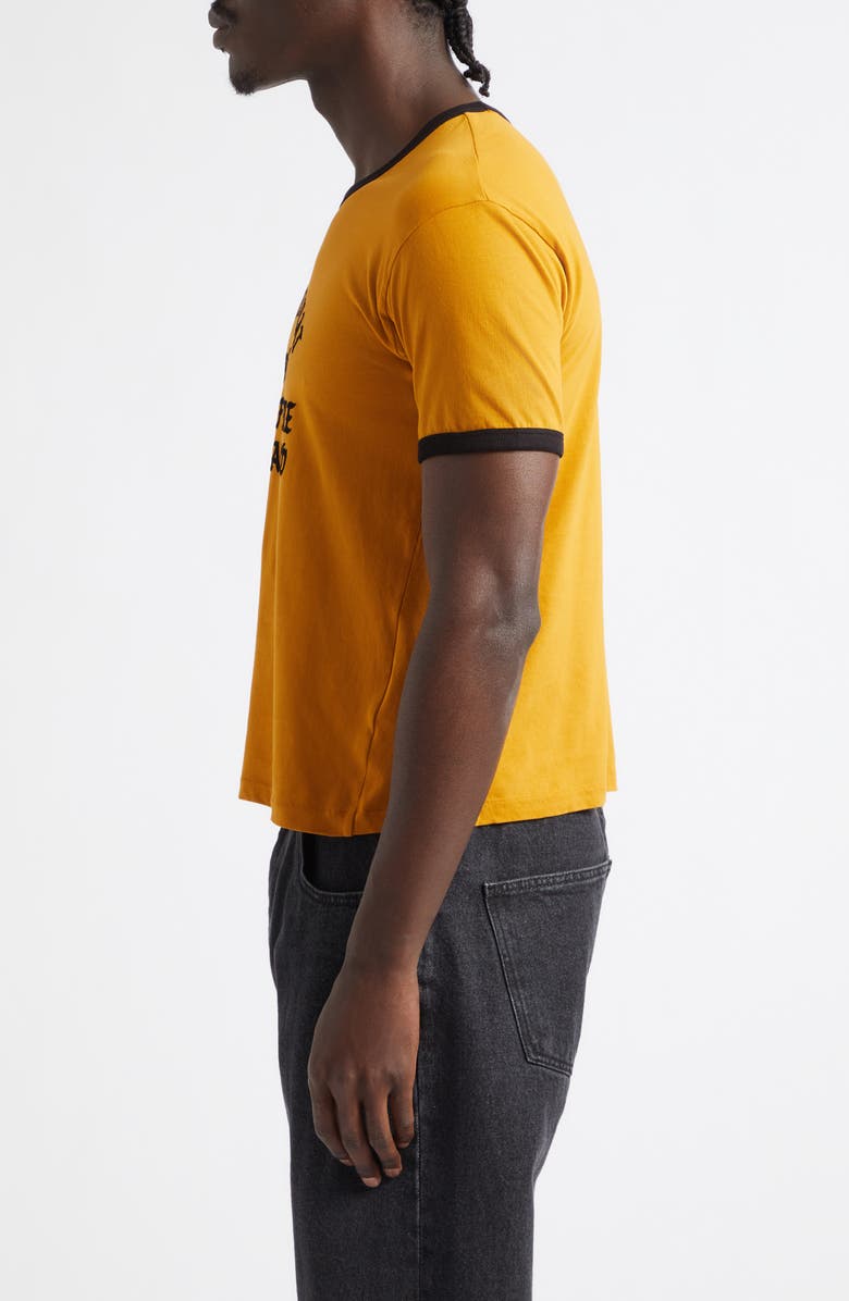 Second Layer A Love That Lingers Cotton Ringer T-Shirt, Alternate, color, Mustard/ Black