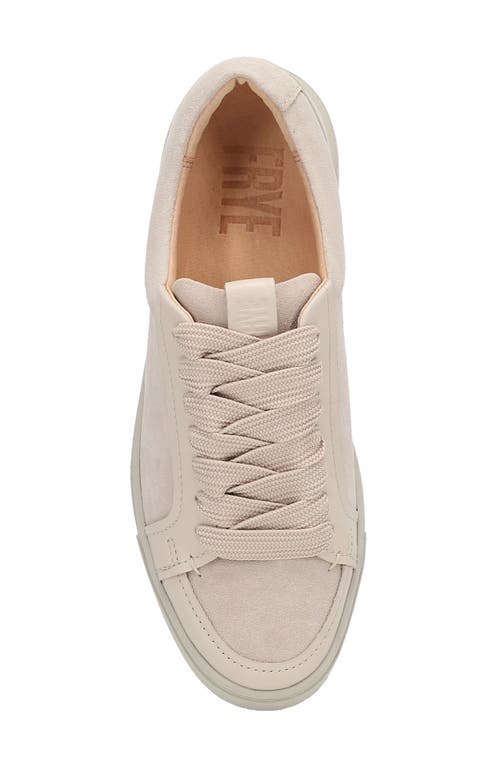 Frye Ivy Low Top Sneaker In Pink