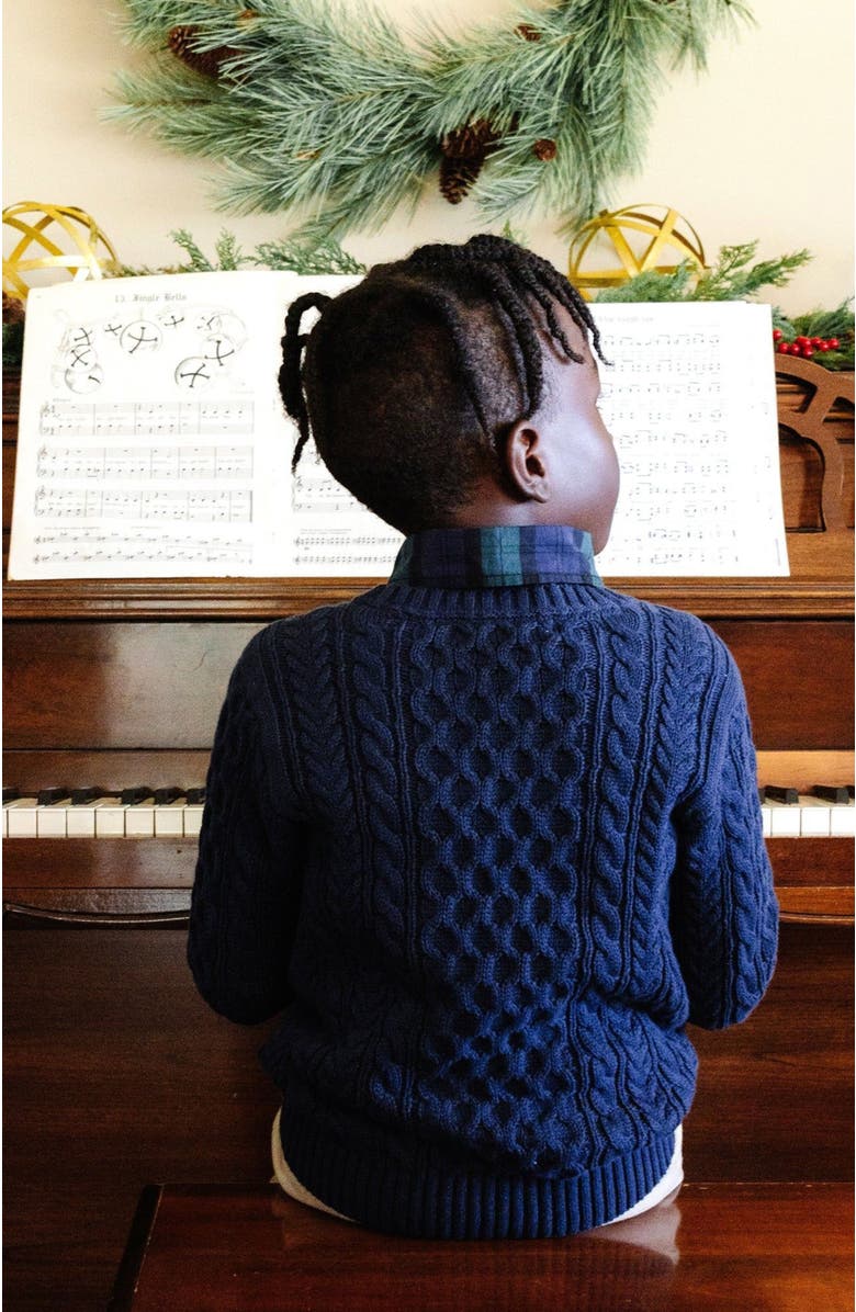 Hope & Henry Boys' Organic Fisherman Sweater, Kids, Alternate, color, 