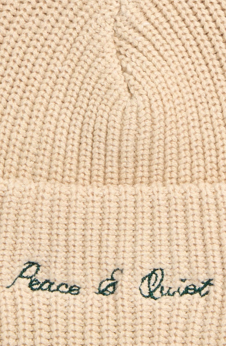 Museum of Peace & Quiet Signature Ribbed Cotton Beanie, Alternate, color, 