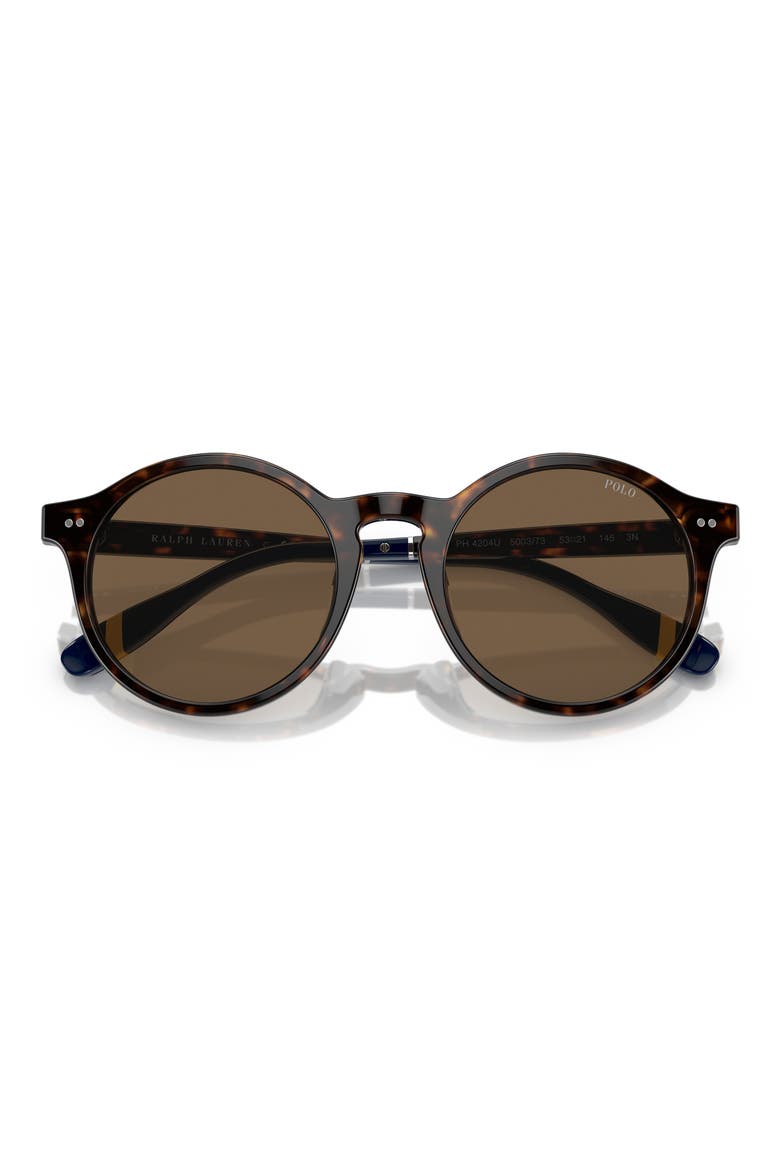 PH4204U 53mm Round Sunglasses, Alternate, color, SHINY DARK HAVANA / BROWN