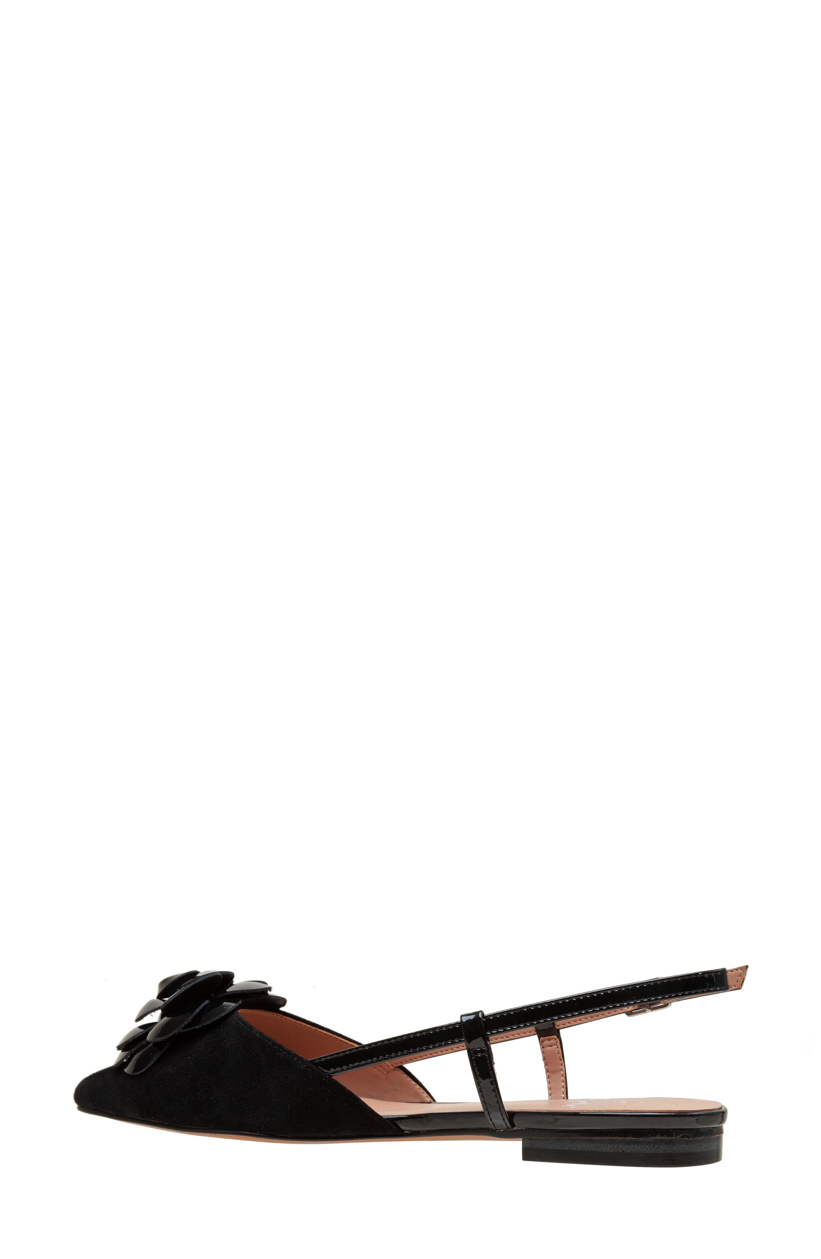 Linea Paolo Cammy Slingback Pointed Toe Flat, Alternate, color, Black Ii