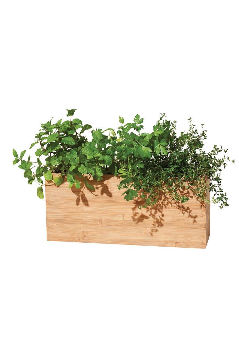 Smart Indoor Hydroplanter, Main, color, WOOD