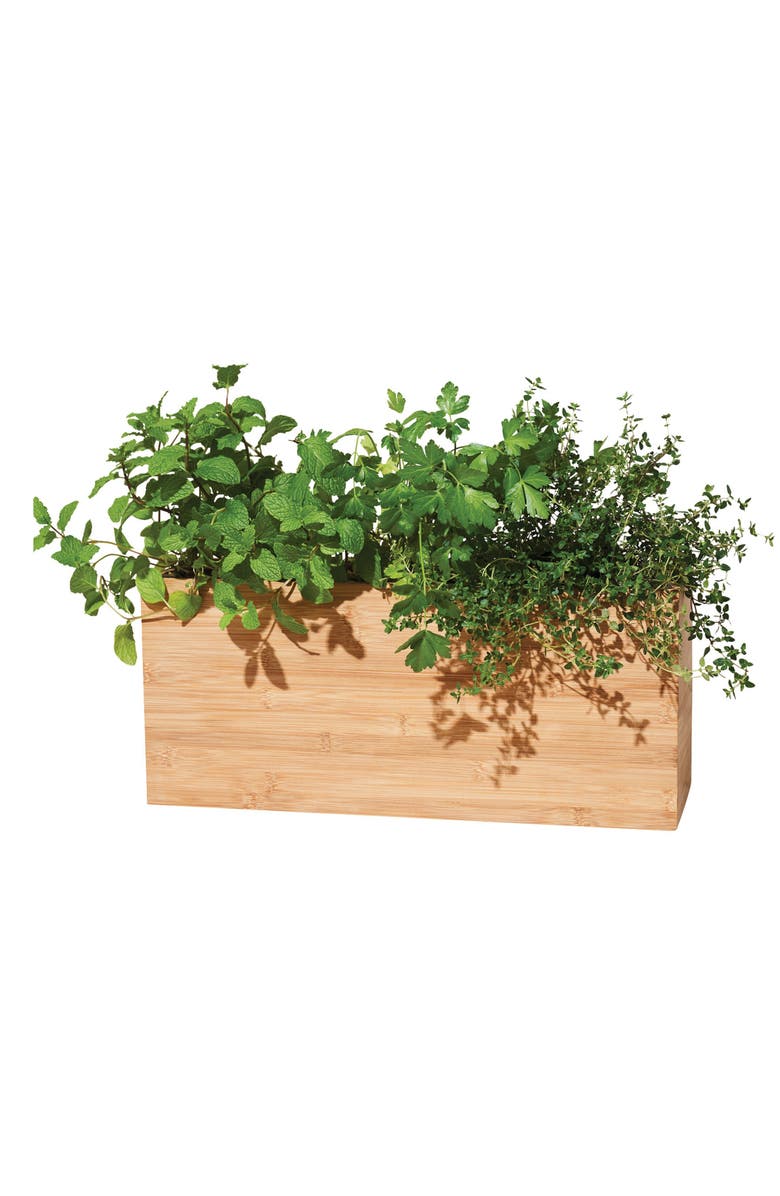 Modern Sprout Smart Indoor Hydroplanter, Main, color, 