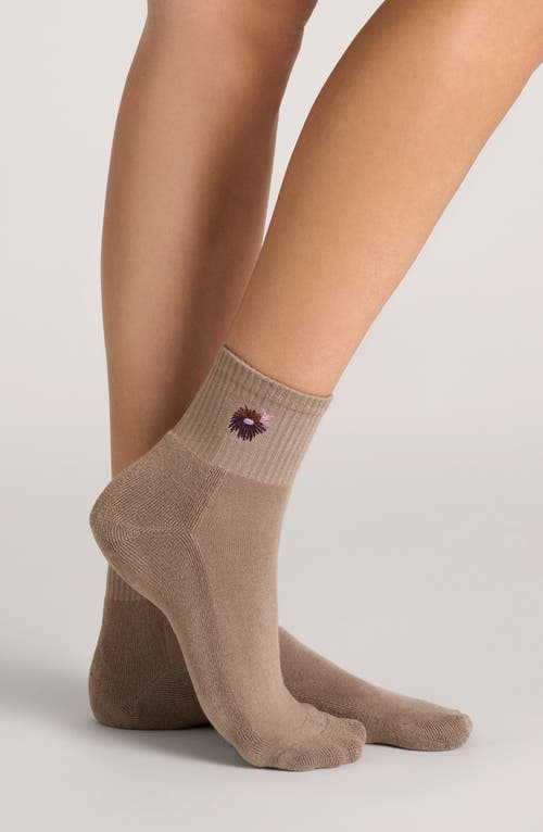 Ted Baker Assorted 3-pack Crew Socks In Tan Combo