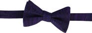 Trafalgar Sobee Paisley Silk Bow Tie