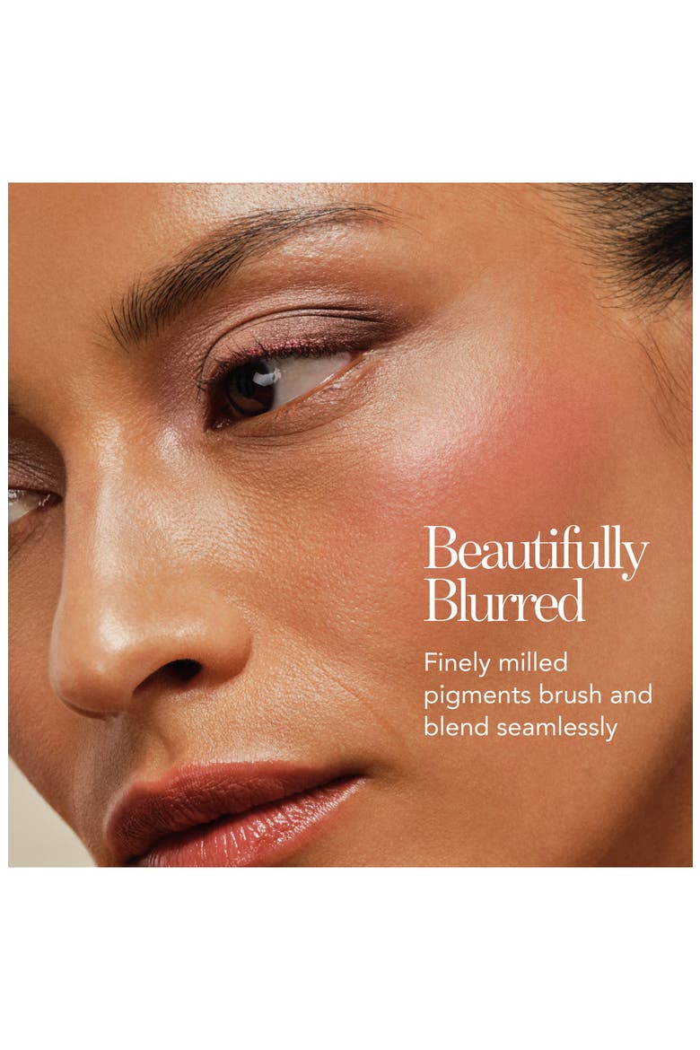 Cheek Shade Blush, Alternate, color, LION