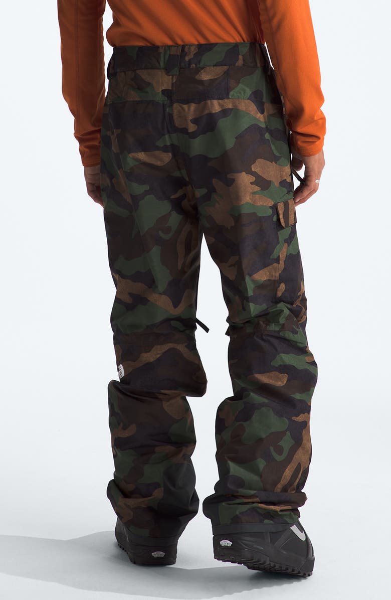 The North Face Freedom Water Repellent DryVent<sup>™</sup> 2L Recycled Nylon Pants, Alternate, color, 