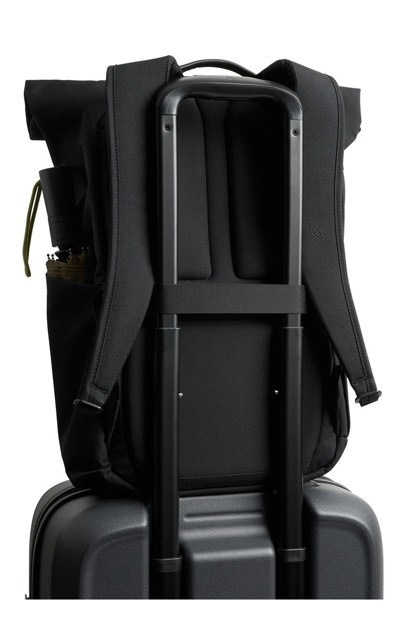 Bellroy Classic Roll Top Water Resistant 16L Backpack, Alternate, color, Black