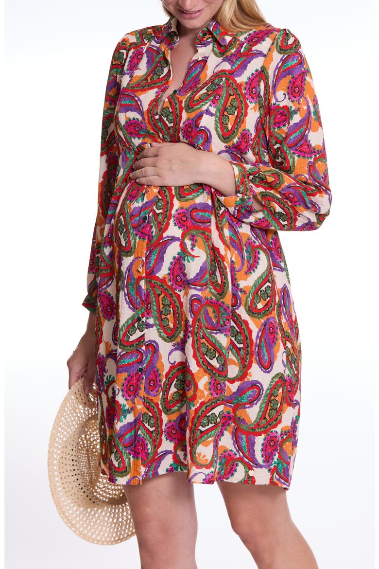 Soledad Maternity and Nursing Shirt Dress, Alternate, color, PAISLEY MUTLI