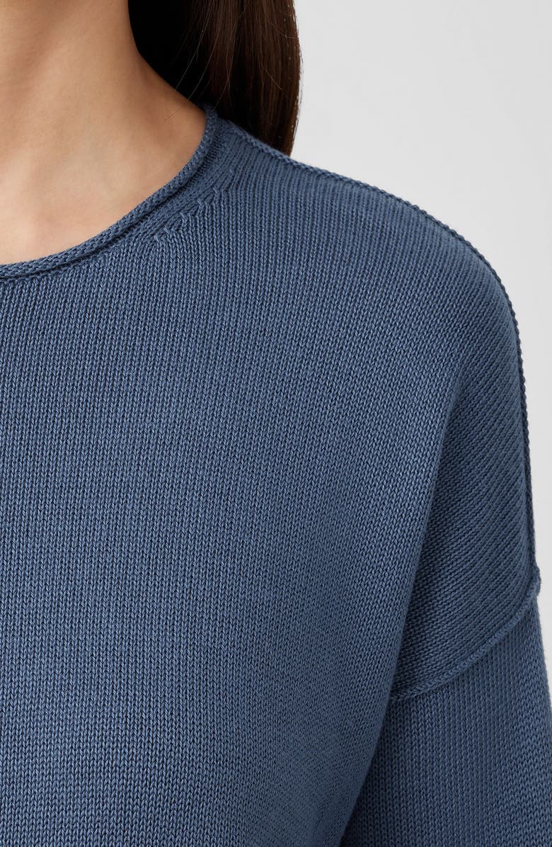 Eileen Fisher Boxy Crewneck Pullover, Alternate, color, 