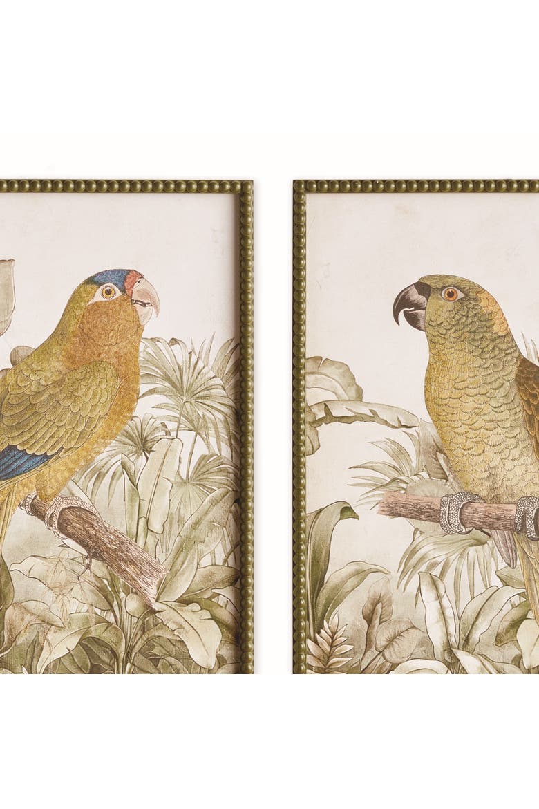Tropical Parrot Prints, Set of 2 - Brown/Green - Fir Wood, Alternate, color, Green
