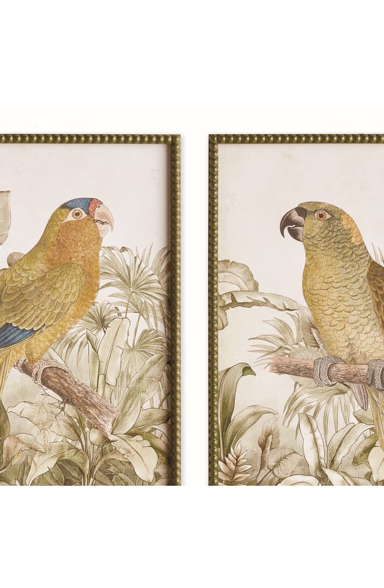 Napa Home & Garden Tropical Parrot Prints, Set of 2 - Brown/Green - Fir Wood, Alternate, color, 