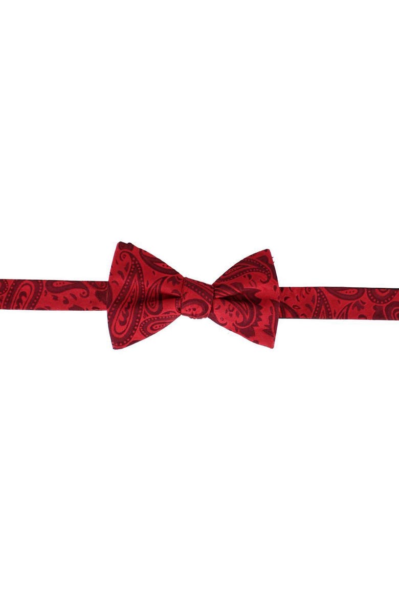 Banbury Tone on Tone Paisley Silk Suspenders (Braces) and Bow Tie Set, Alternate, color, Red