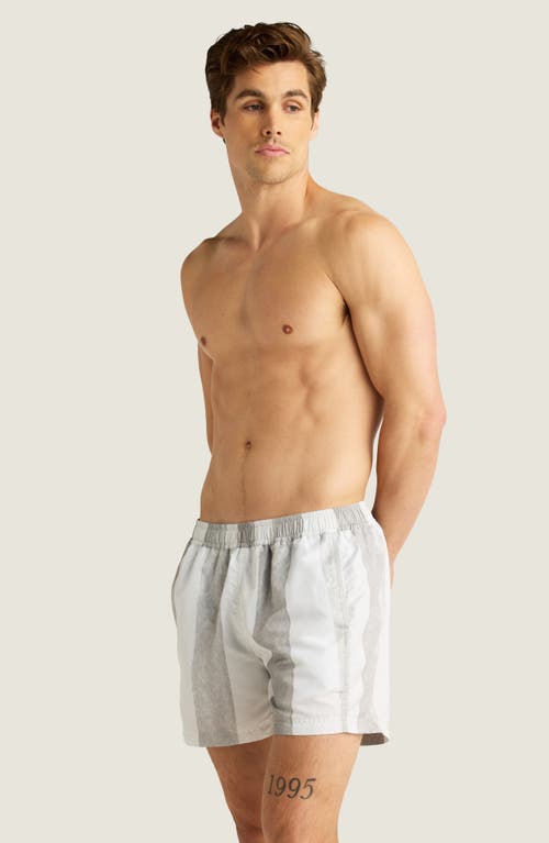 Auto-reply™ Sebastian Print 4-inch Nylon Swim Trunks In Fog/white Painted Stripe