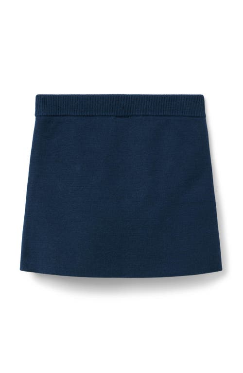 Janie And Jack Crochet Trim Sweater Skirt In Blue