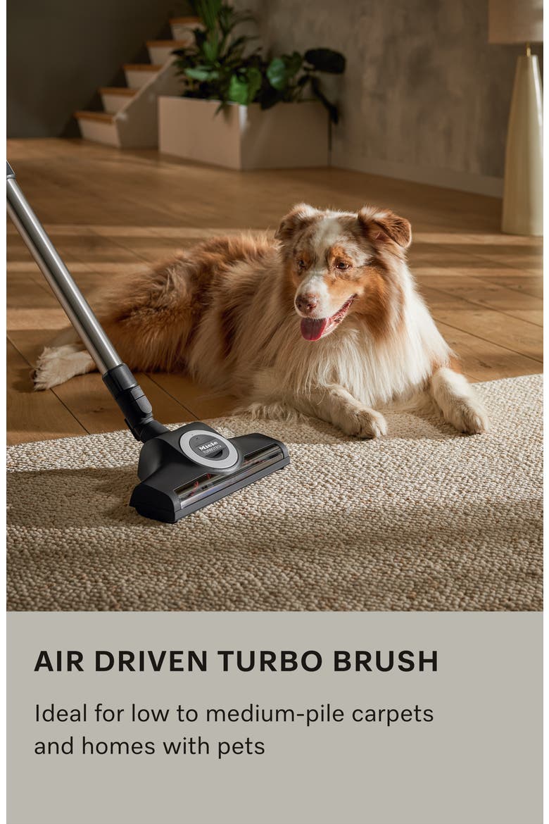 Classic C1 Turbo Team Bagged Canister Vacuum, Alternate, color, Tech Blue