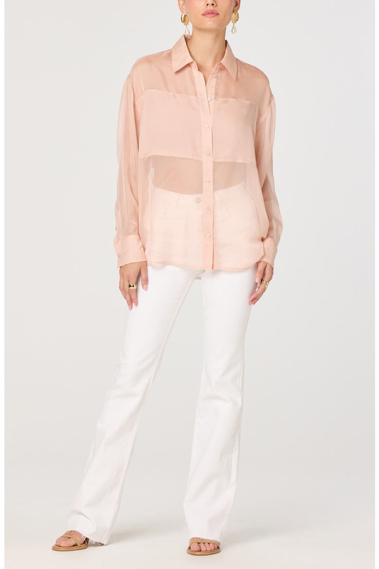 Evie Semisheer Long Sleeve Button Front Shirt, Alternate, color, BLUSH