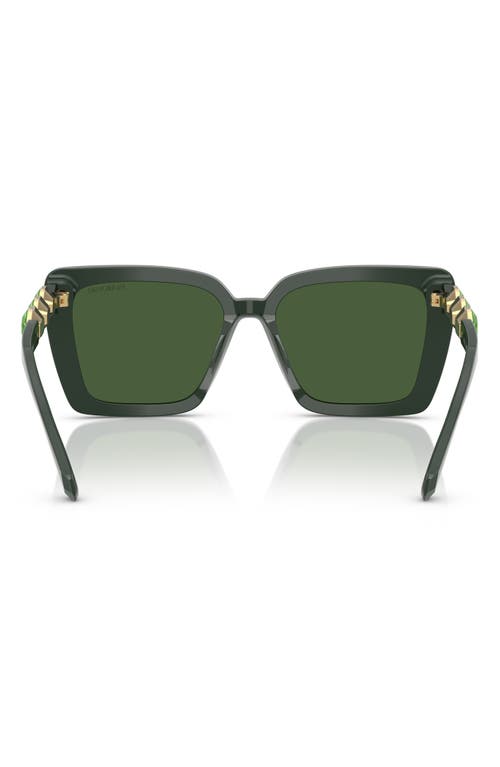 Swarovski 55mm Square Sunglasses In Green