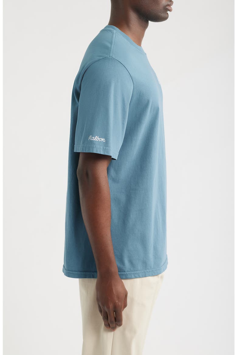 Bermuda Cotton Graphic T-Shirt, Alternate, color, AEGEAN BLUE