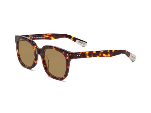 Caddis Jockamo | Polarized Sunglasses
