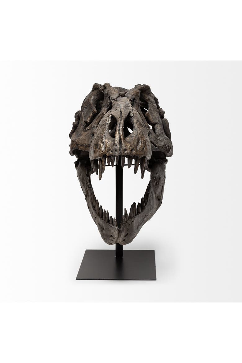 Jurassic Resin Dinosaur Skull Replica, Alternate, color, Brown