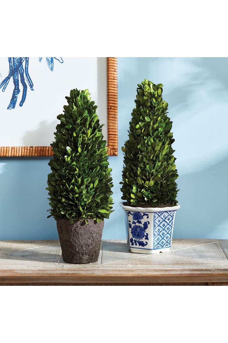 Boxwood Cone Topiary Drop-In 16", Alternate, color, Green