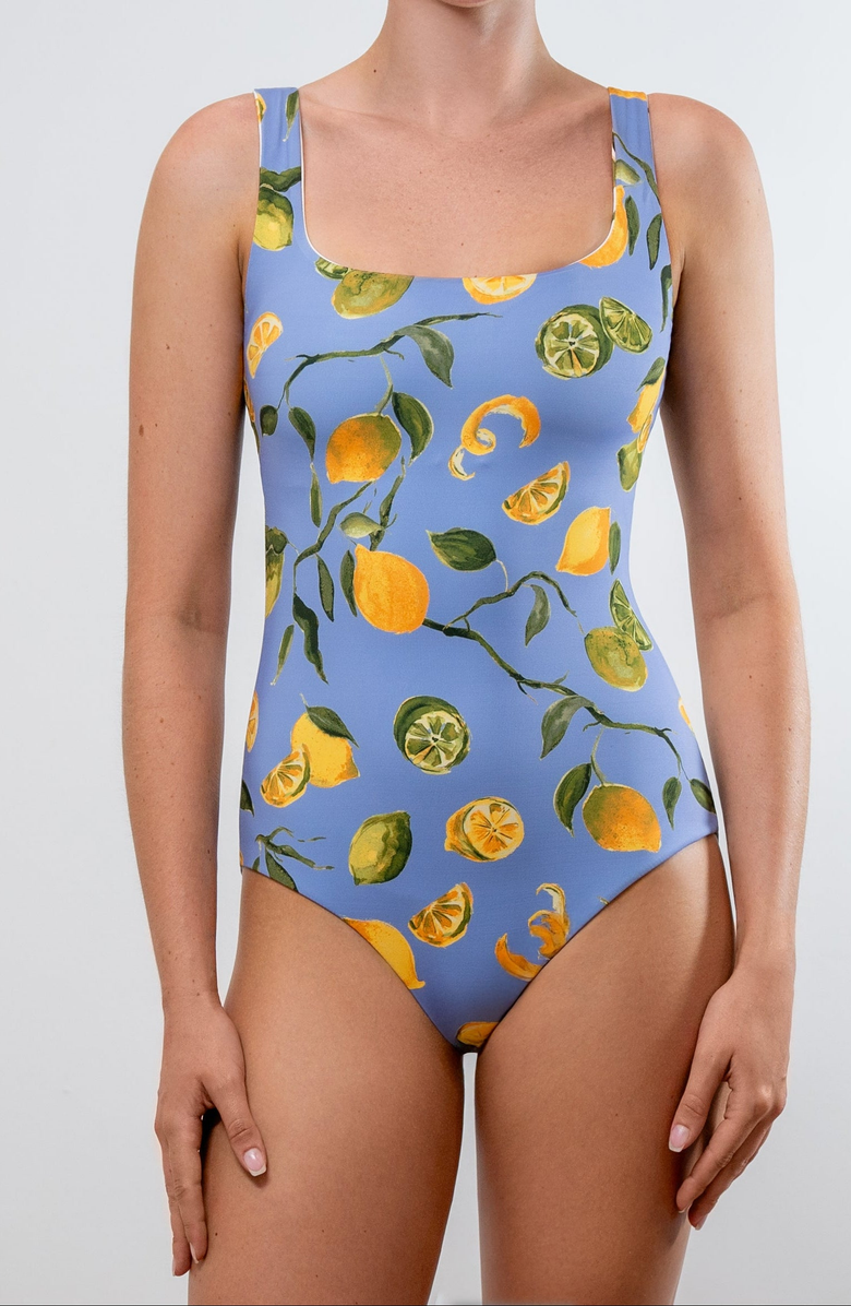 Hermoza Janece Reversible One-Piece, Main, color, Slice Of Life