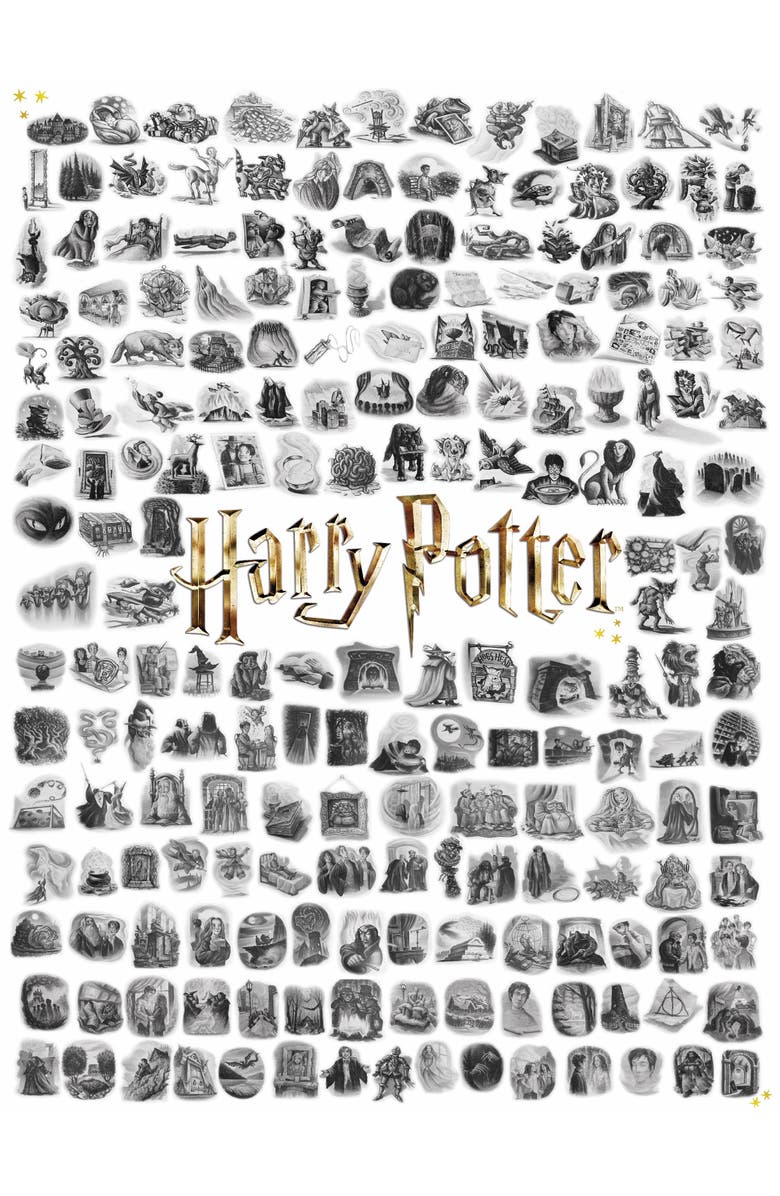 NEW YORK PUZZLE COMPANY Chapter Art 1000 Piece Puzzle, Alternate, color, NO COLOR