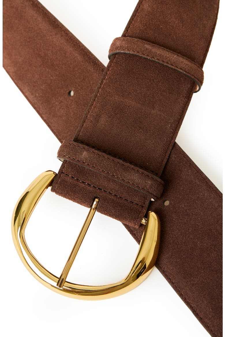 Florence Suede Belt, Alternate, color, CHOCOLATE GOLD