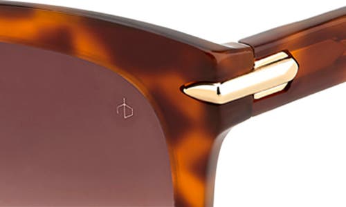 Rag & Bone 55mm Square Sunglasses In Havana