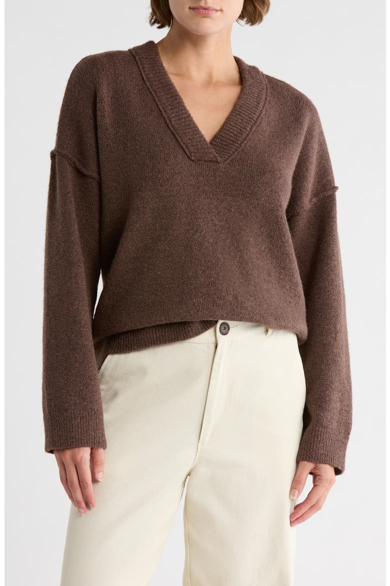 Rib Trim V-Neck Sweater, Main, color, BROWN FAWN