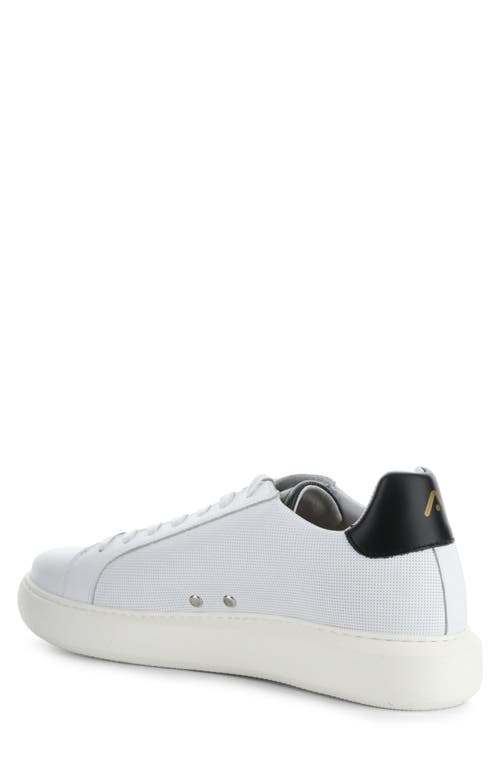 AMBITIOUS AMBITIOUS 10634A LOW TOP SNEAKER