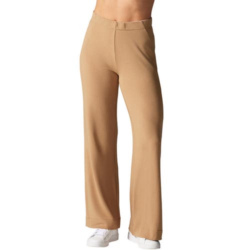 Tavi Cozy Luxe Wide Leg Pant In Brown
