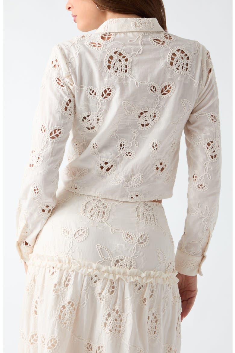 Lenora Embroidered Eyelet Crop Top, Alternate, color, WHITE