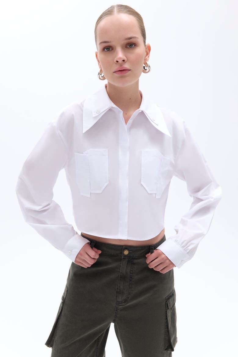 Double Collar Cotton Button-Up Shirt, Main, color, White