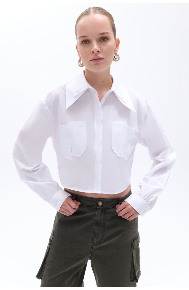 Nocturne Double Collar Cotton Button-Up Shirt, Main, color, 