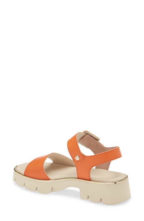Paul Green Toby Ankle Strap Platform Sandal In Papaya Grained