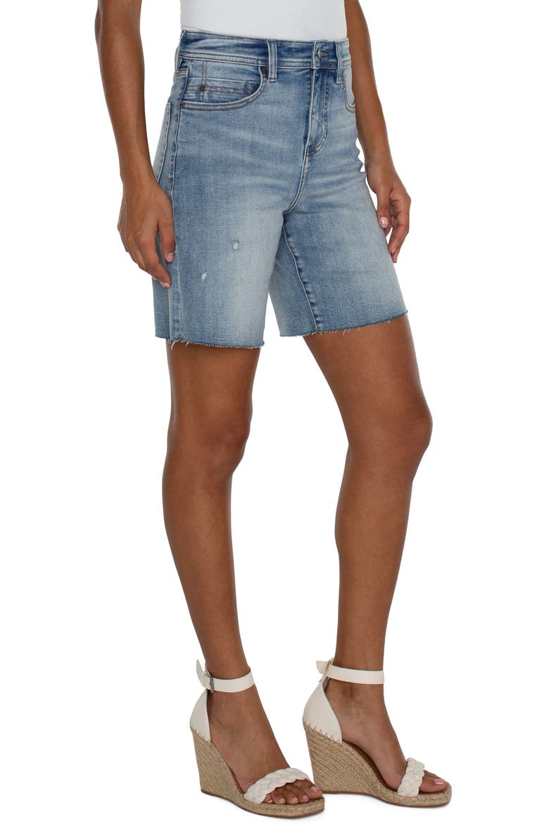 Tucker Mid Thigh Denim Cutoff Shorts, Alternate, color, BANCROFT
