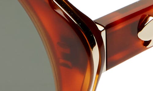 Kate Spade Karries 52mm Round Sunglasses - Brown In Brown