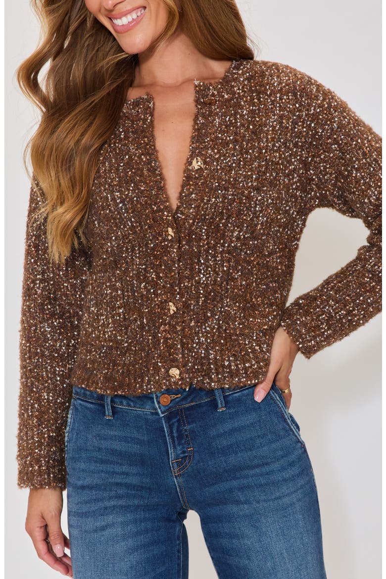 Toasty Cardigan, Alternate, color, BROWN